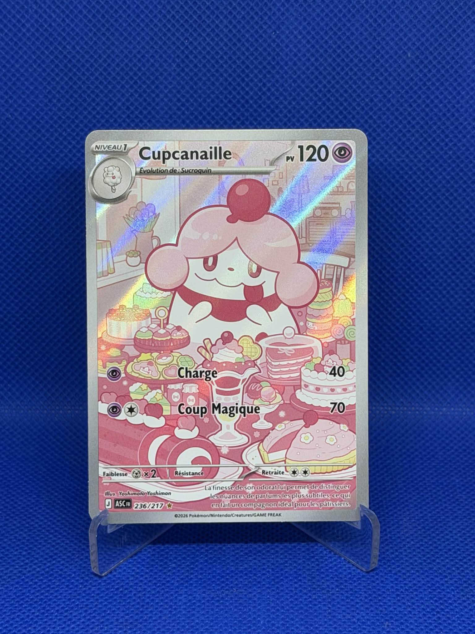 [CARTE] Cupcanaille AR ME2.5 [FR] Cards-island